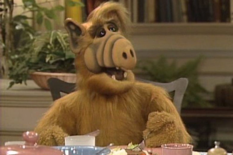 alf2.jpeg alf2.jpeg