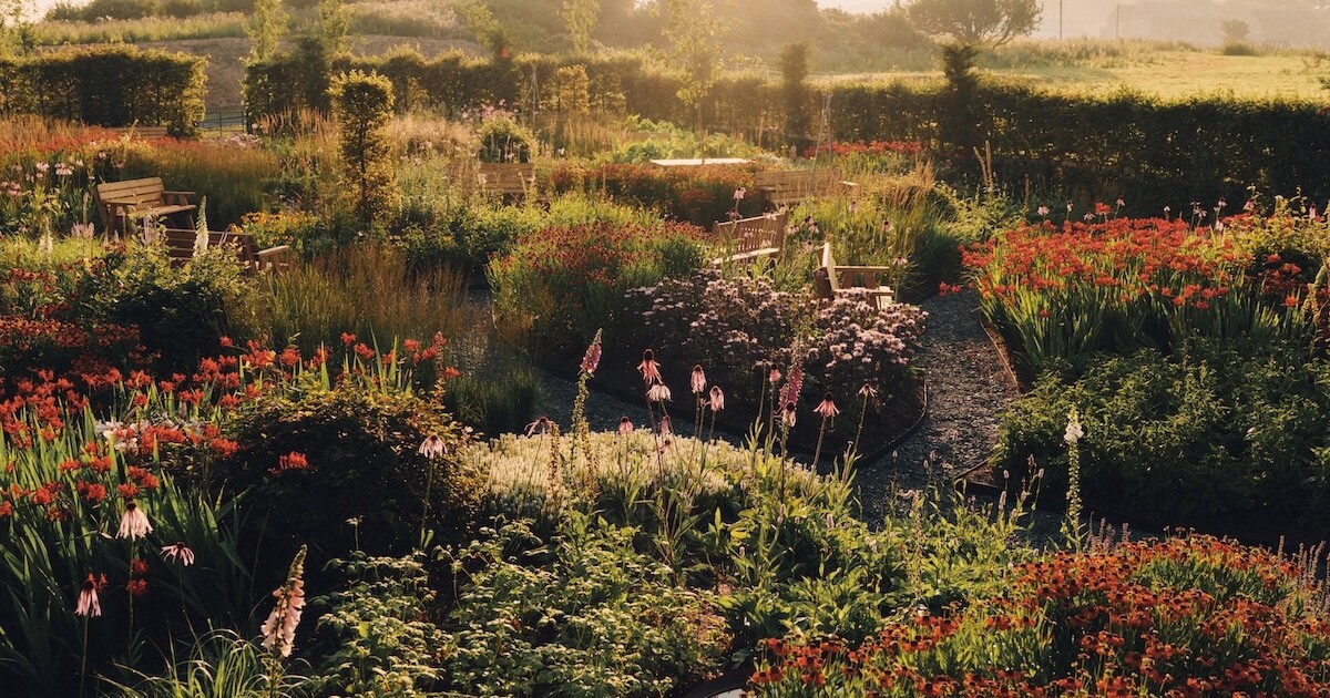 Tajemniczy ogród, ale to New Balance: niezwykły projekt „The Flimby Garden”